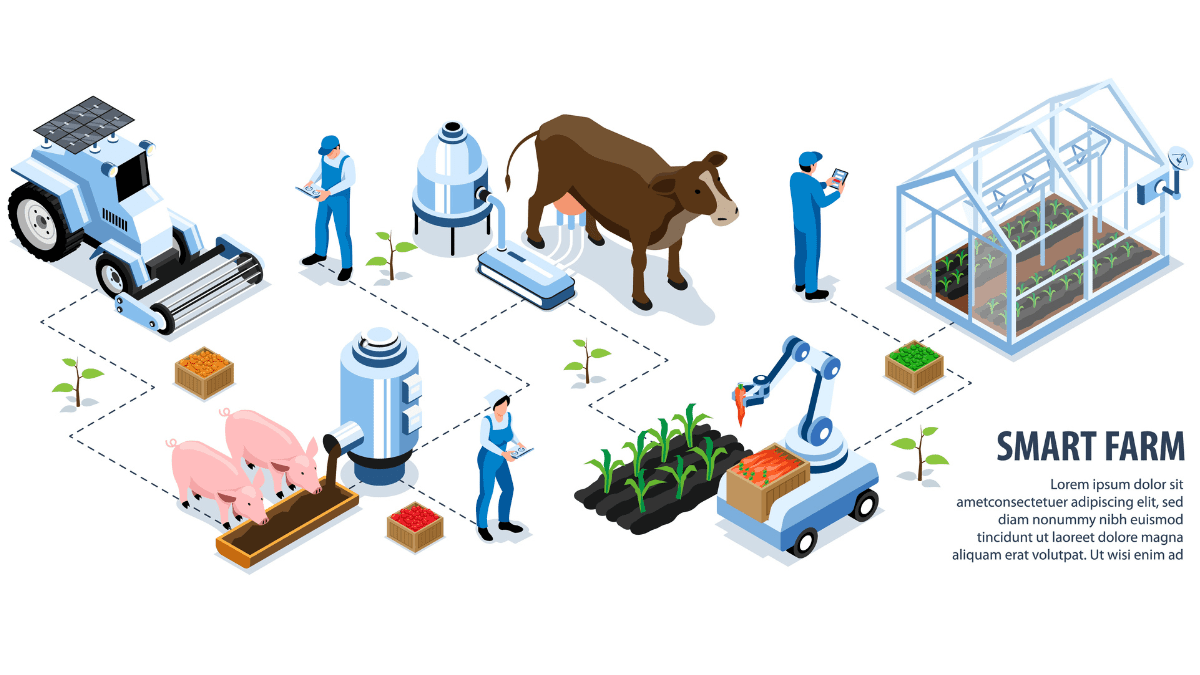 AI Training for Cattle in 2025: Tools & Techniques for Smart Farming 1 AI-powered cattle farm in 2025 with smart sensors, automated feeding, drones, and a farmer monitoring health on tablet