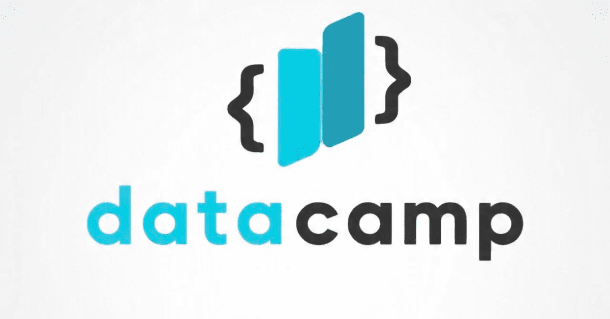 Data Camo Logo - Best AI Courses for Product Managers