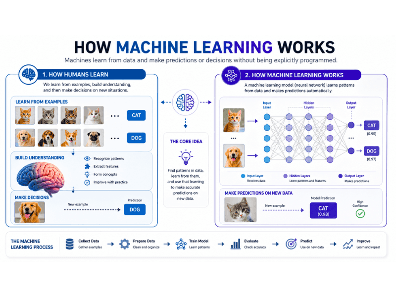 how to learn AI skills for beginners - machine learning basics explained with examples.